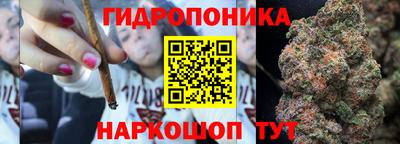 круглые Будённовск