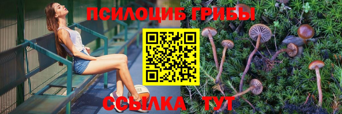 где купить наркоту  Вход с VPN  Псилоцибиновые грибы Cubensis  Юрга  Галлюциногенные грибы Magic Shrooms 